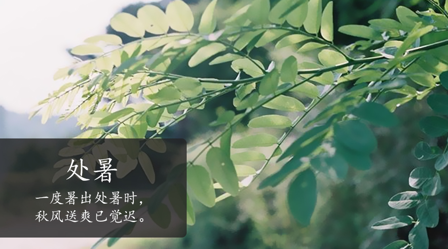 中国·3044永利集团(股份)有限公司-官方网站