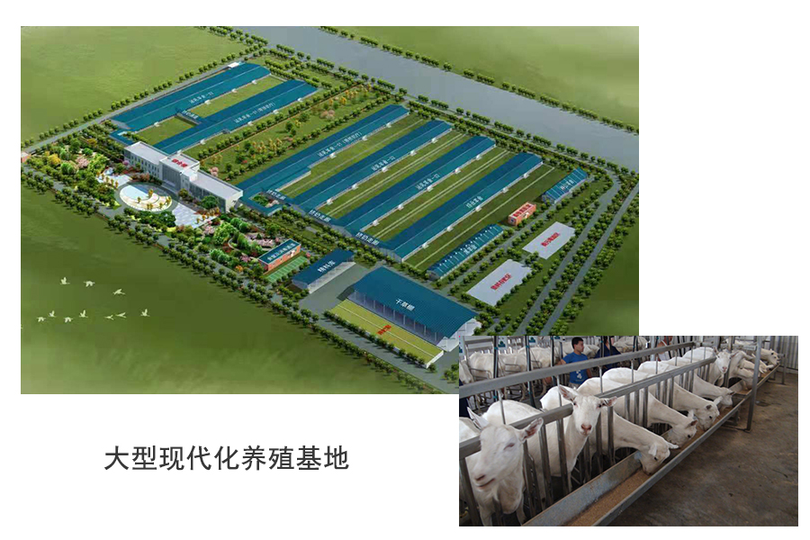 中国·3044永利集团(股份)有限公司-官方网站