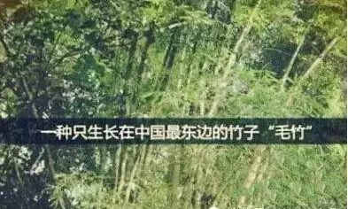 中国·3044永利集团(股份)有限公司-官方网站
