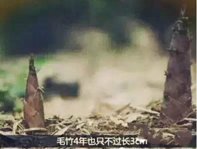 中国·3044永利集团(股份)有限公司-官方网站