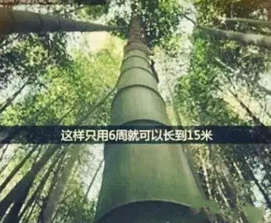 中国·3044永利集团(股份)有限公司-官方网站