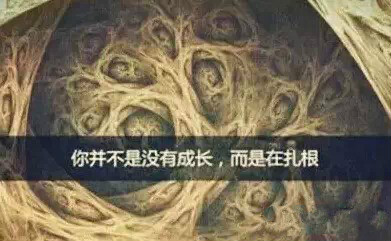 中国·3044永利集团(股份)有限公司-官方网站